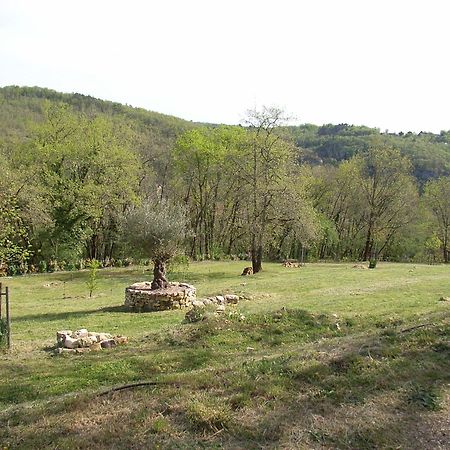 Studio Aux Eyzies Au Coeur De La Vallee De L'Homme Les Eyzies Exteriör bild