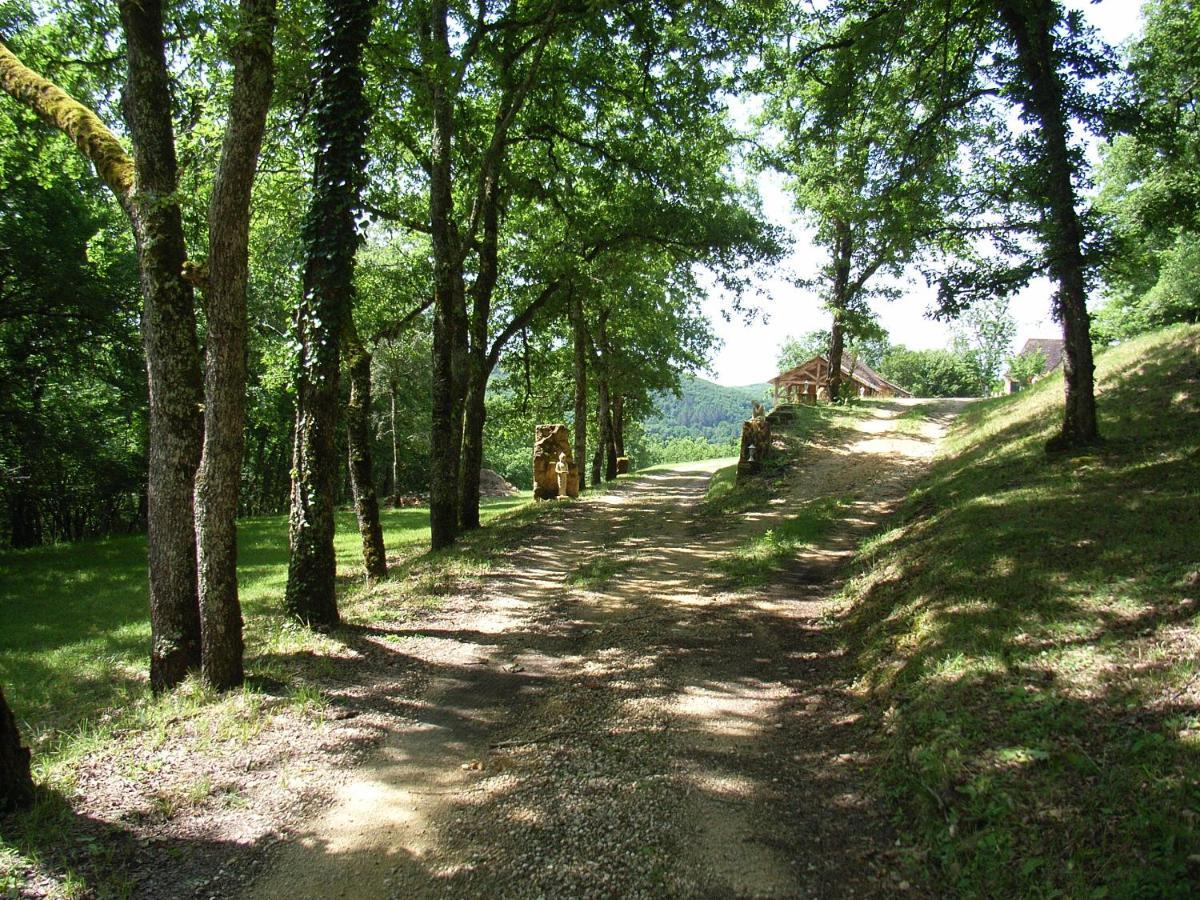 Studio Aux Eyzies Au Coeur De La Vallee De L'Homme Les Eyzies Exteriör bild