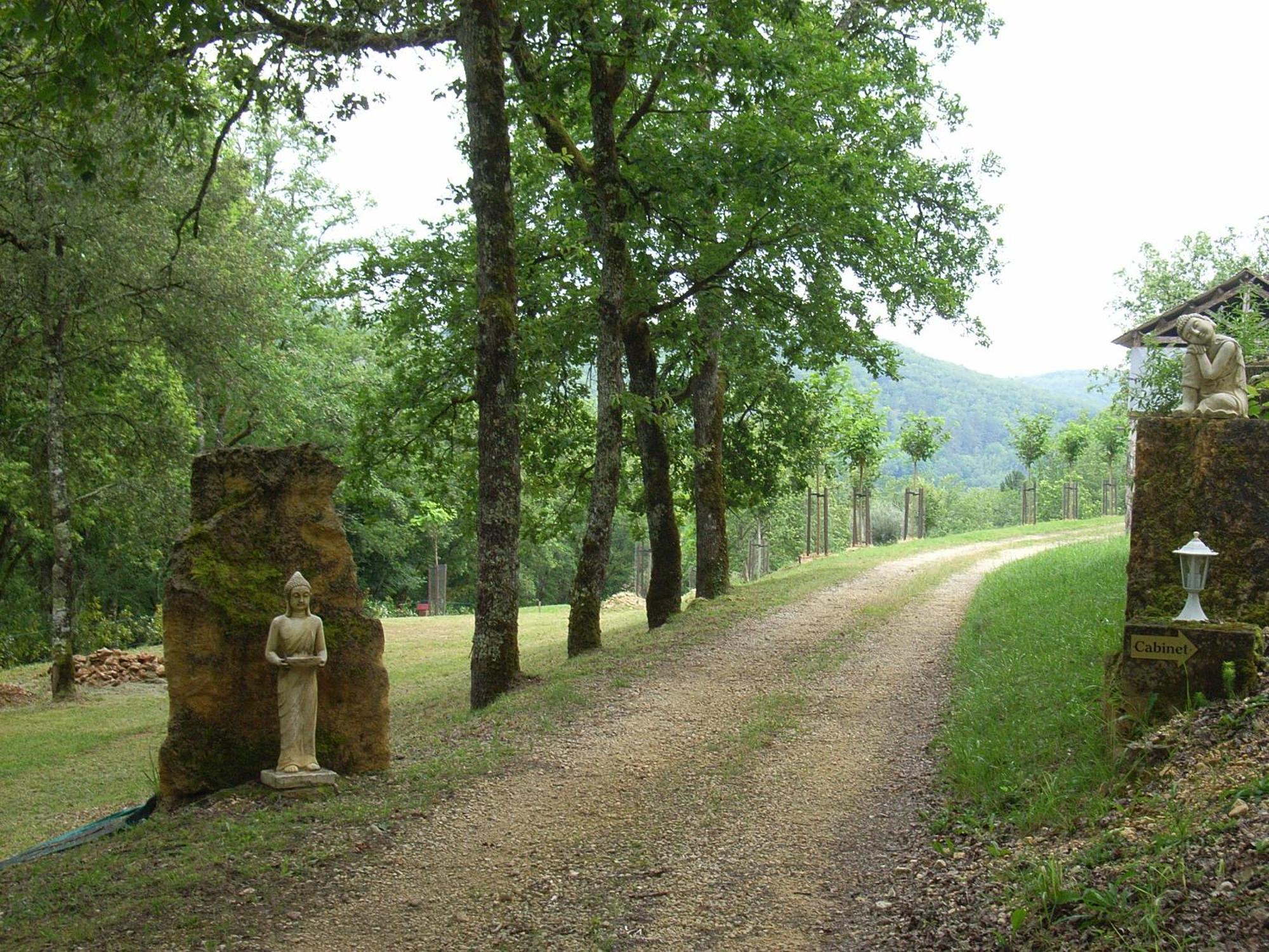 Studio Aux Eyzies Au Coeur De La Vallee De L'Homme Les Eyzies Exteriör bild