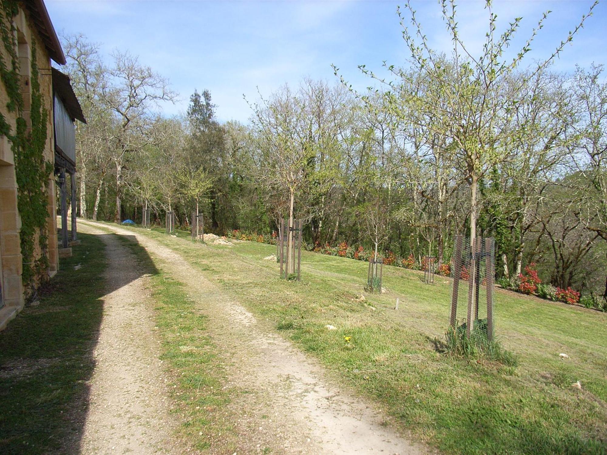 Studio Aux Eyzies Au Coeur De La Vallee De L'Homme Les Eyzies Exteriör bild
