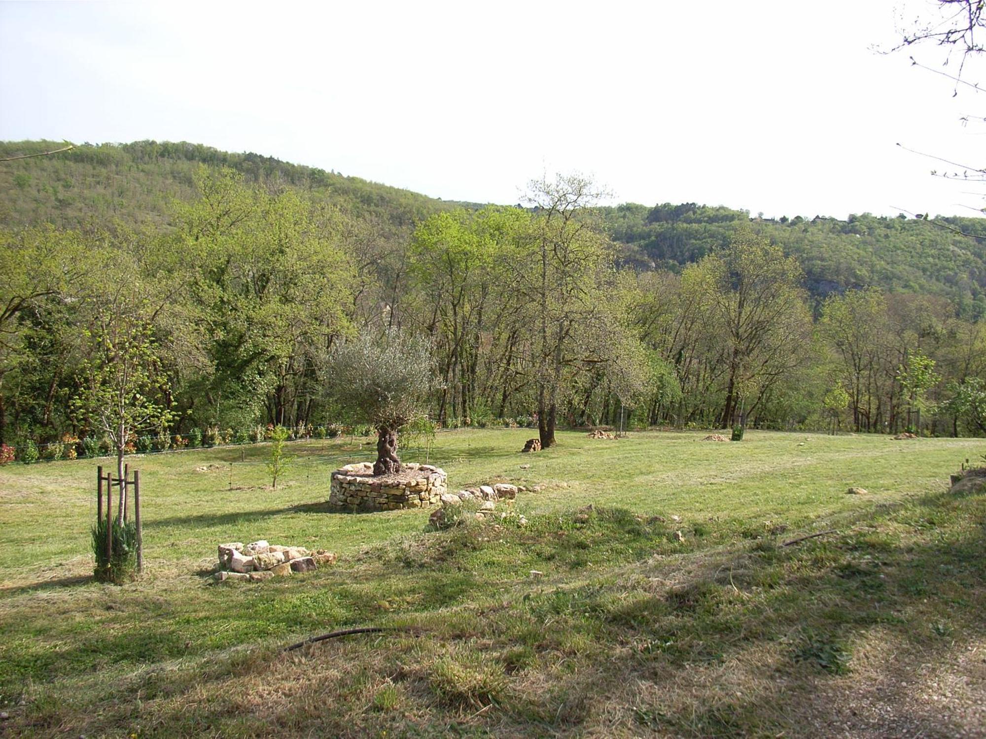 Studio Aux Eyzies Au Coeur De La Vallee De L'Homme Les Eyzies Exteriör bild