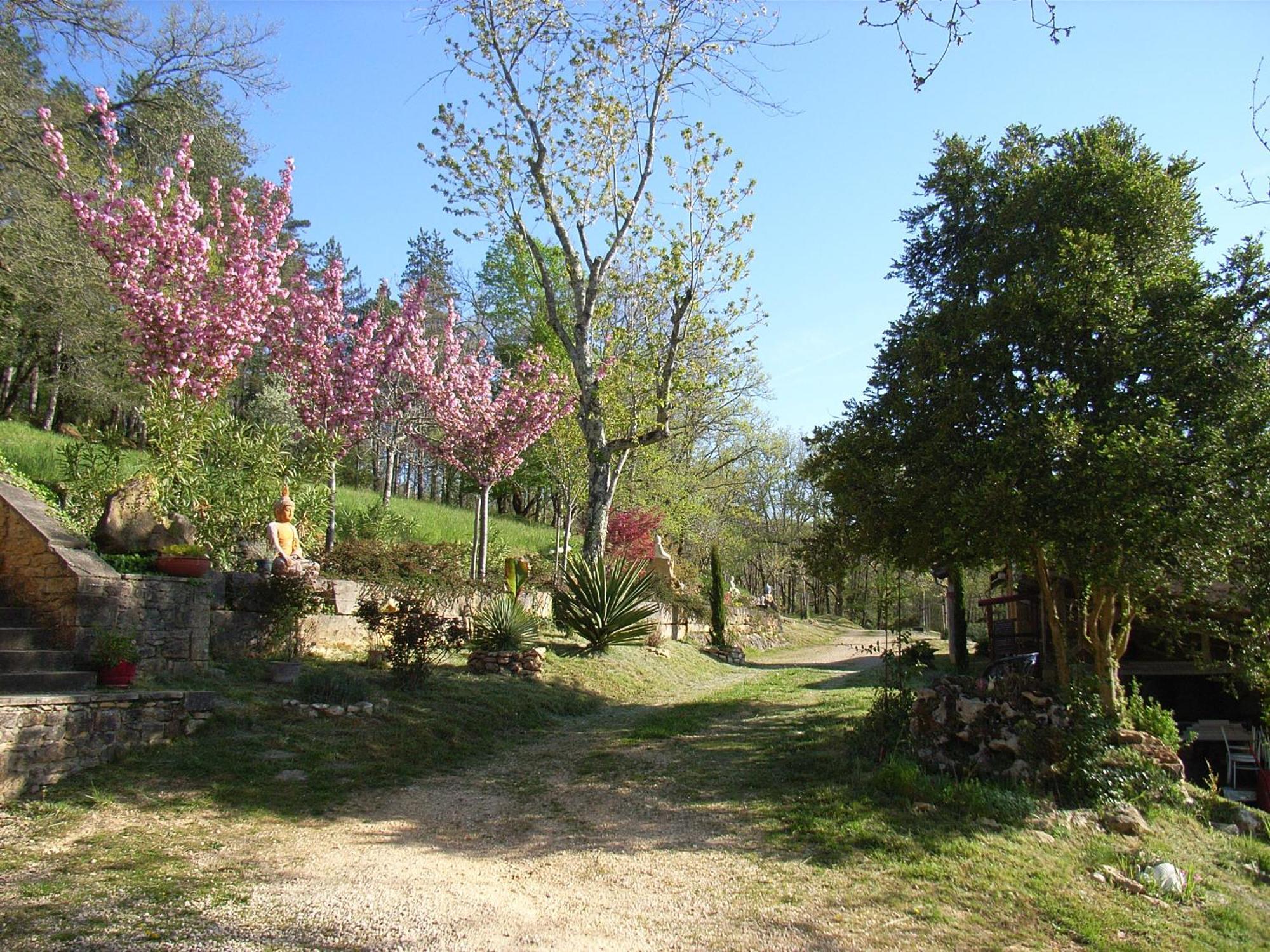 Studio Aux Eyzies Au Coeur De La Vallee De L'Homme Les Eyzies Exteriör bild
