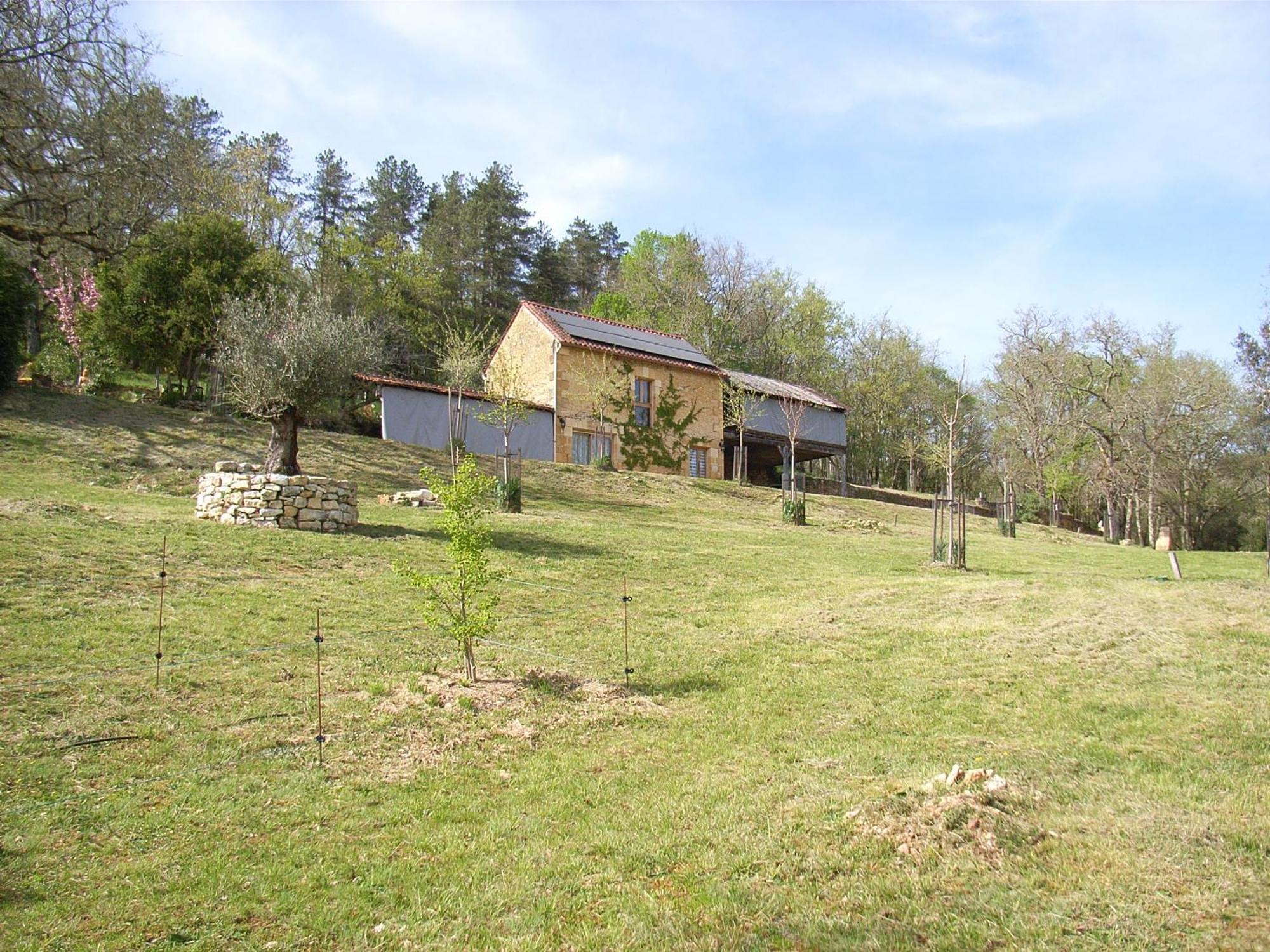 Studio Aux Eyzies Au Coeur De La Vallee De L'Homme Les Eyzies Exteriör bild