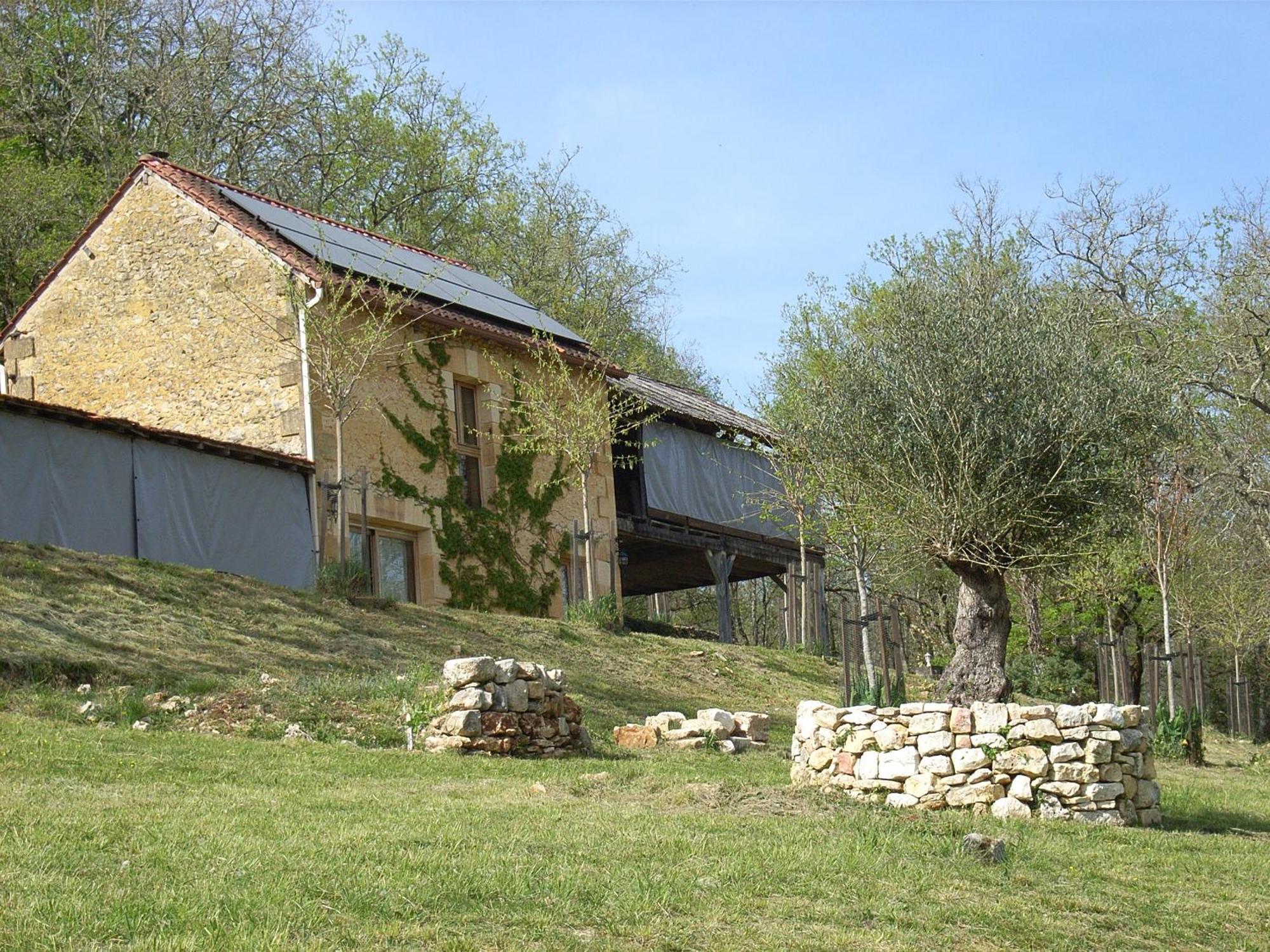 Studio Aux Eyzies Au Coeur De La Vallee De L'Homme Les Eyzies Exteriör bild